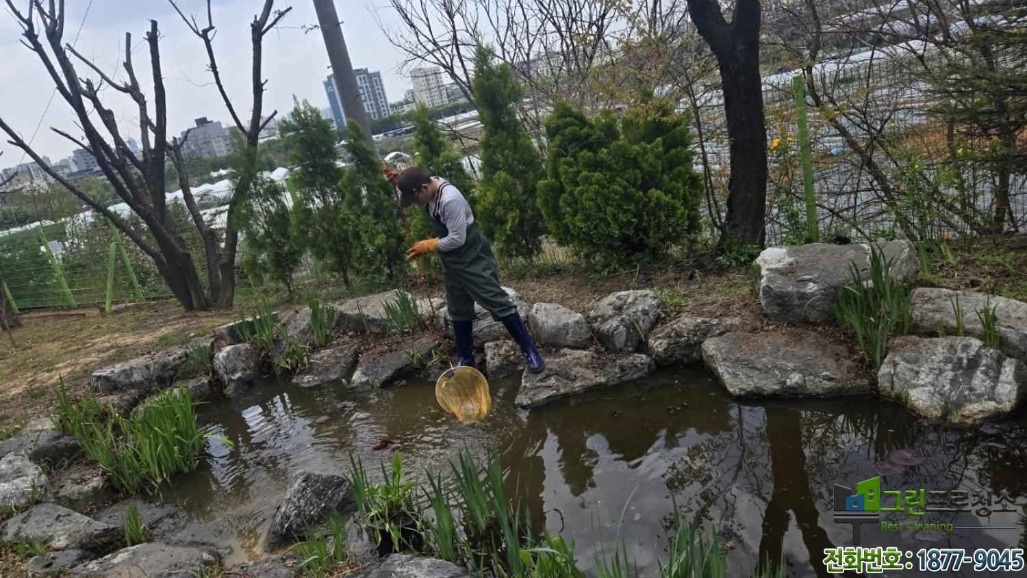 생태 연못 수풀 안쪽 낙엽 제거 청소