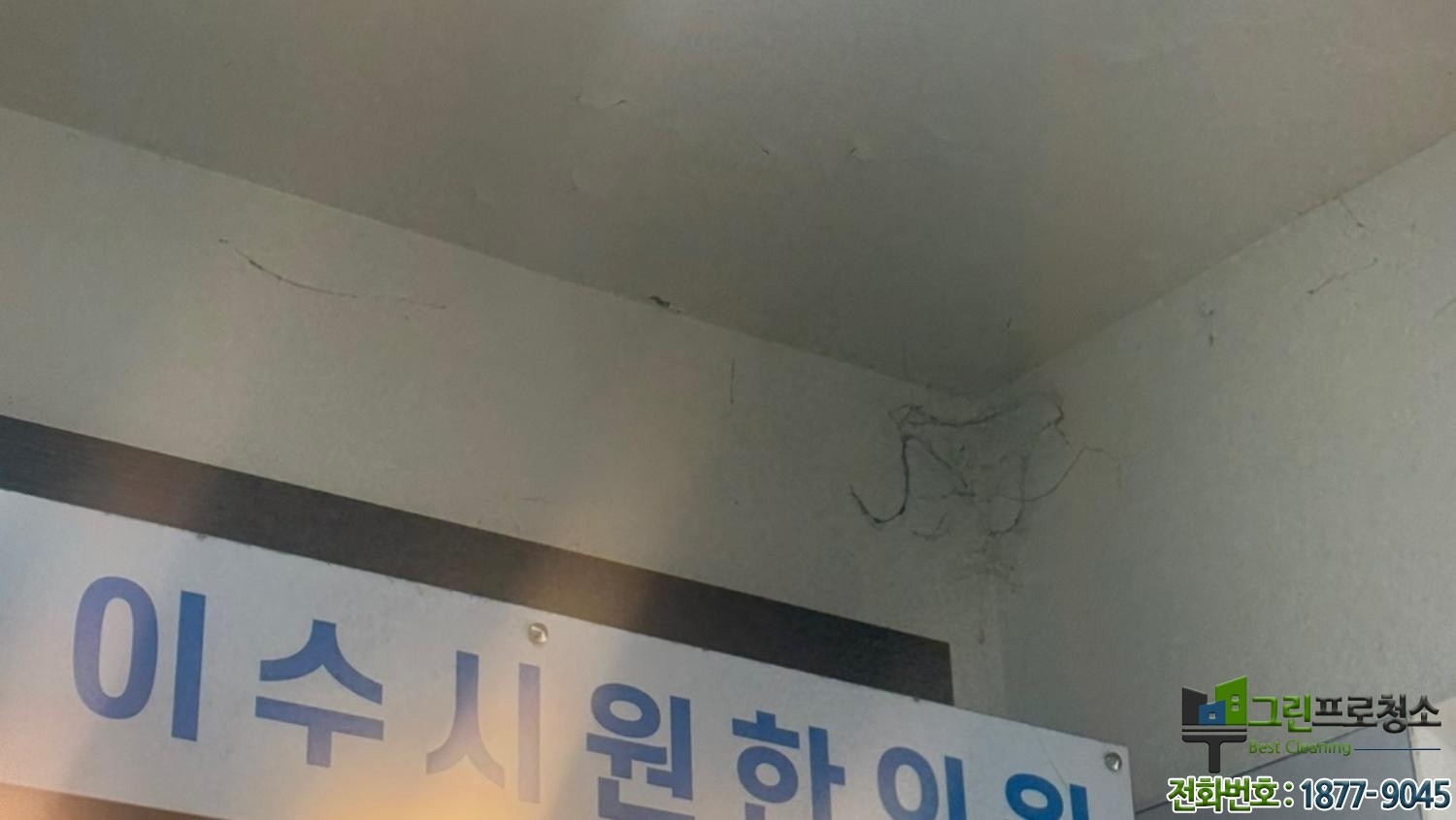 건물 계단 화장실 벽면 복도 청소 팁