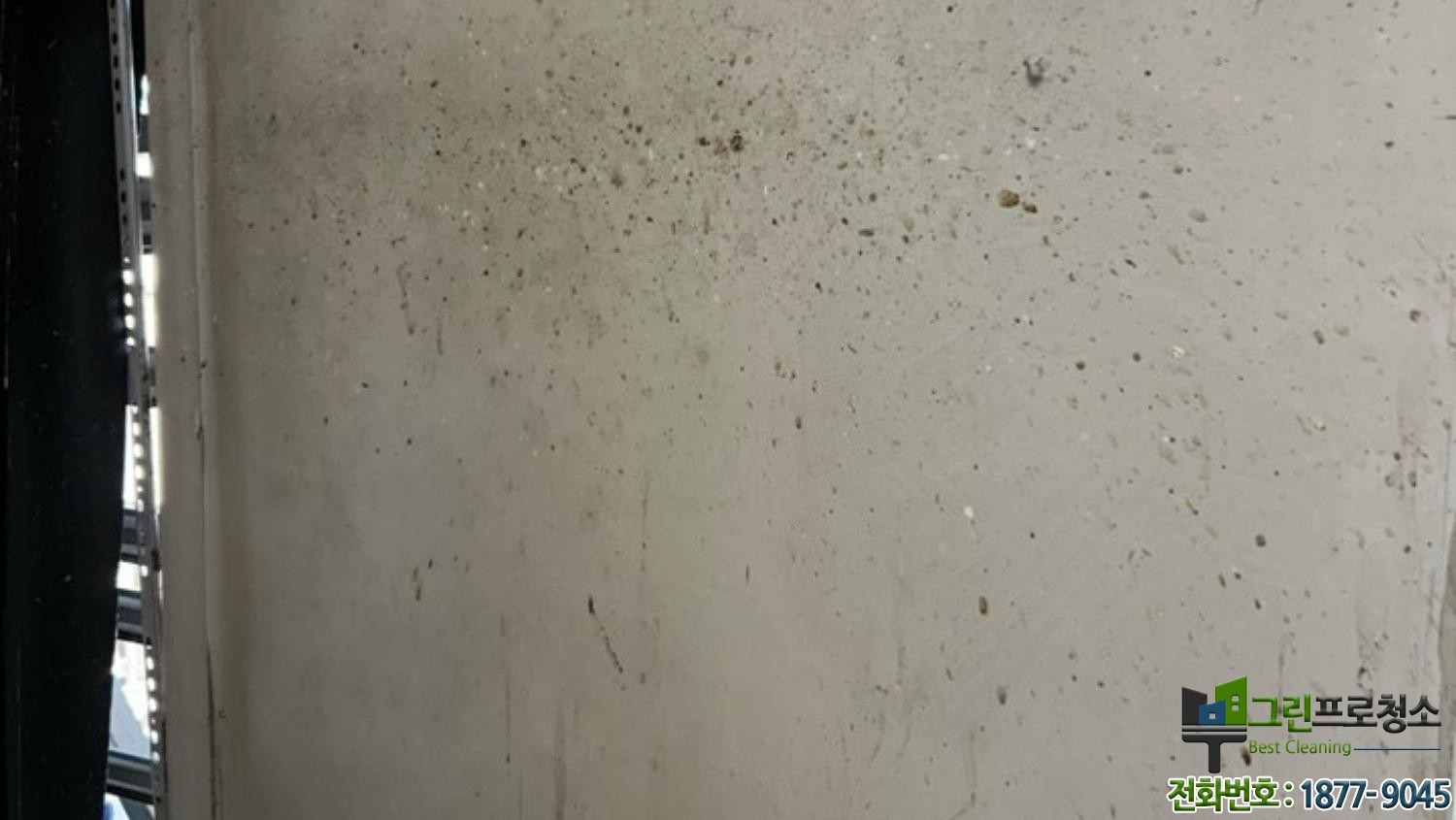 비둘기 배설물 청소 전문